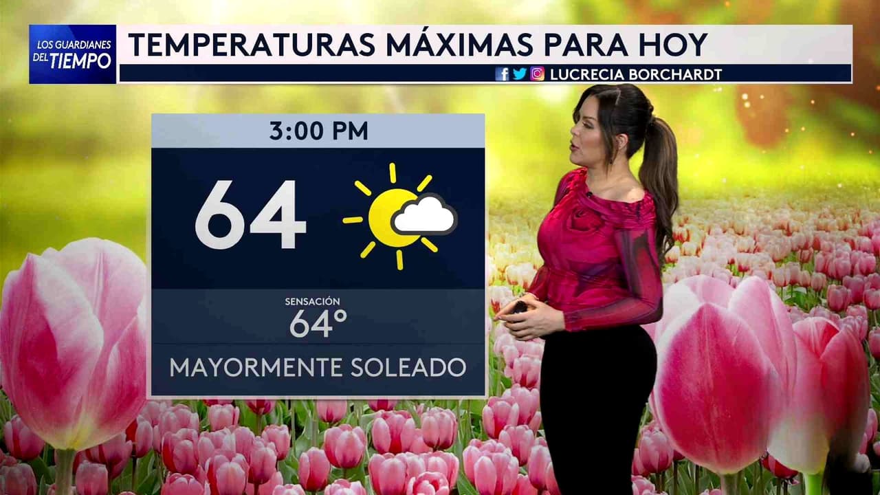 Pronóstico del tiempo hoy en Nueva York: Día mayormente soleado; el termómetro alcanzará 64 °F