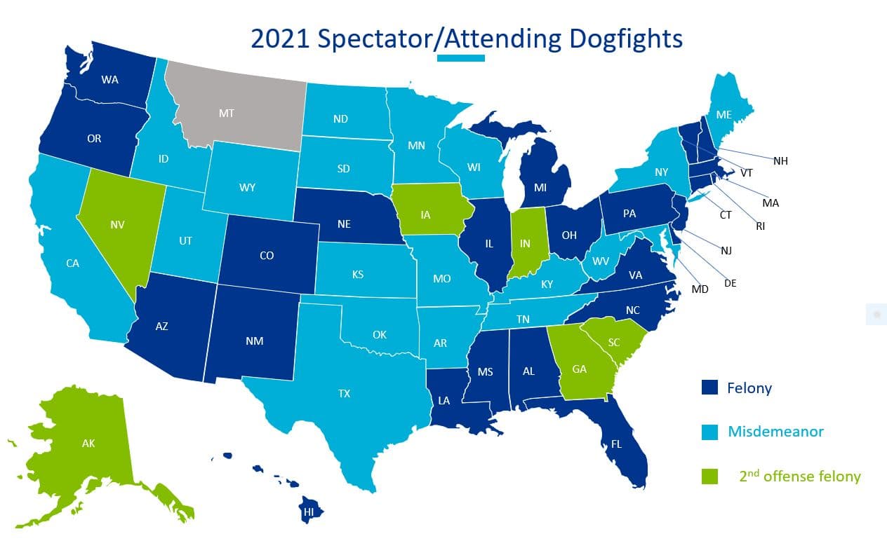 A nivel federal, este delito se castiga hasta con cinco años de prisión y una multa de 250,000 dólares.