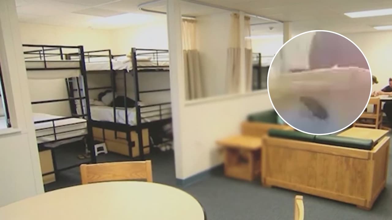 Inmigrante recibe comida con cucarachas y gusanos en centro de detención de ICE