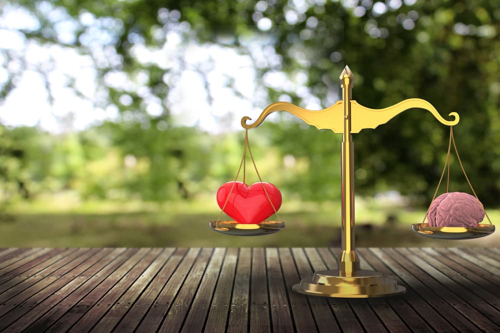 No te cierres las puertas, pero di que lo estás pensando. O sea, no actúes emocionalmente, pon en una balanza la razón y el sentimiento, el corazón y la mente, y luego toma una buena decisión. Seguramente será la mejor.