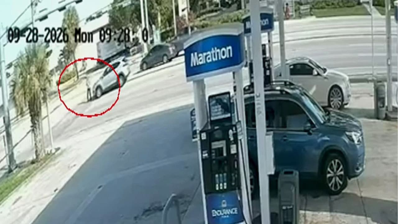 Un hombre muere atropellado en una transitada vía de Fort Lauderdale: el accidente quedó en video