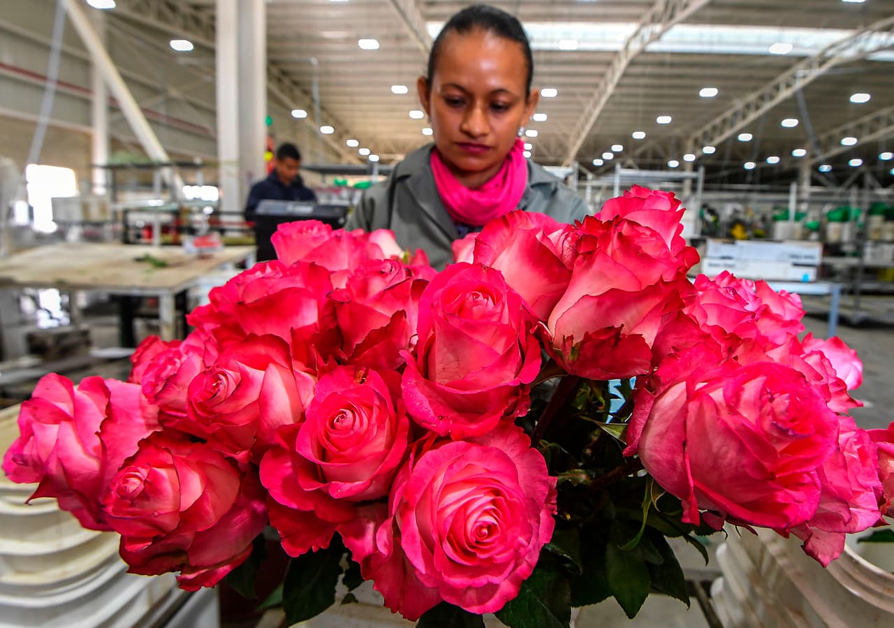"Les queremos dar rosas a todos los conserjes": organizan campaña para el 14 de febrero en Houston