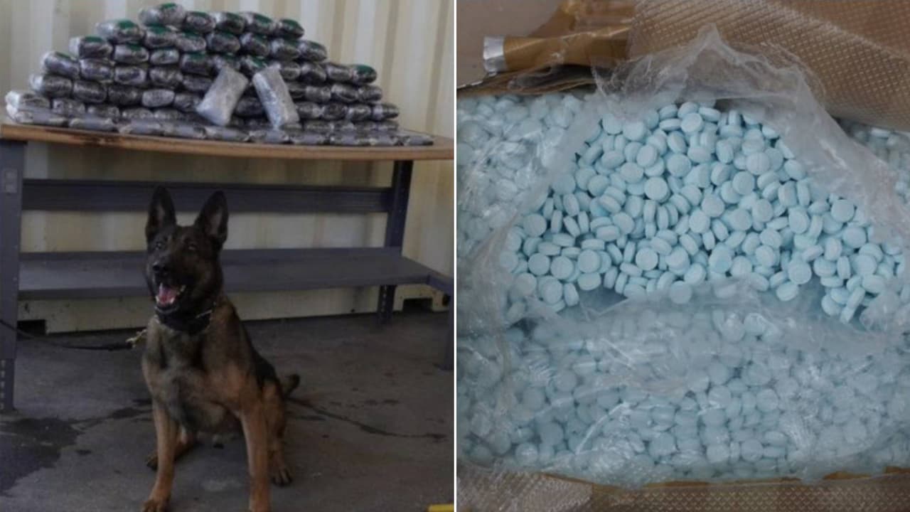 Decomisan más de 700 mil pastillas de fentanilo en el puerto fronterizo de Nogales