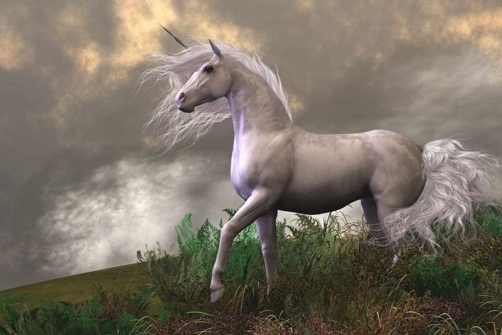 Los unicornios no se encuentran en relatos de la mitología griega (como por ejemplo, lo es Pegaso, el caballo alado), sino increíblemente en relatos de historia natural, porque escritores de esa época estaban convencidos de la existencia de estos animales, explicando que vivían en la región de Persia – India.