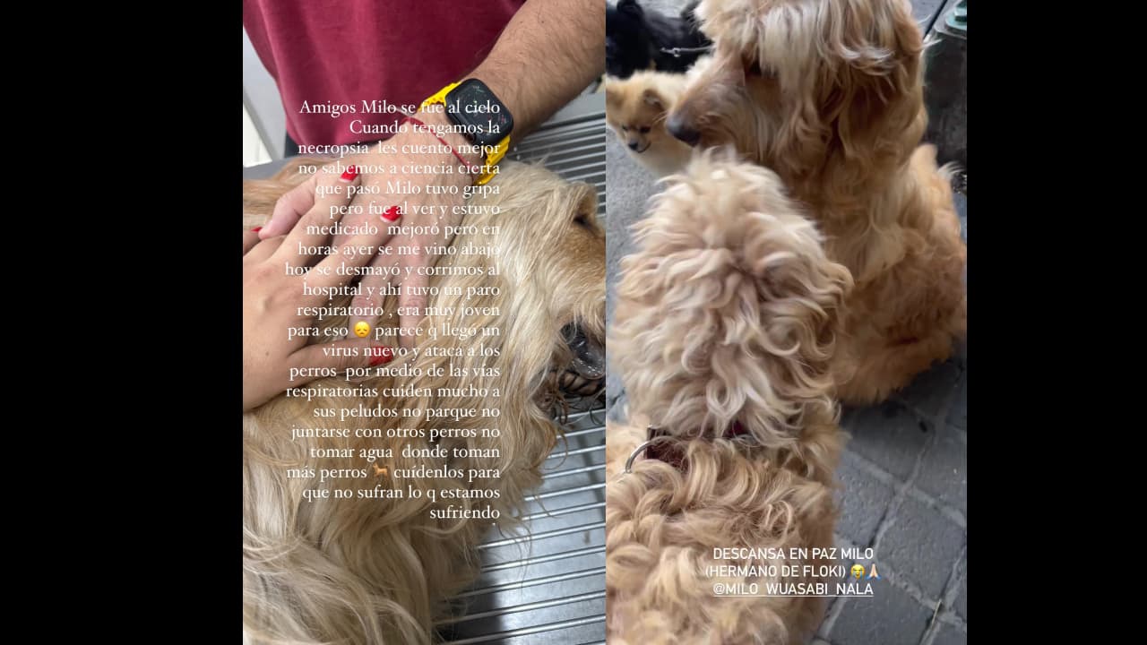 Paul Stanley y su esposa de luto; así se despiden