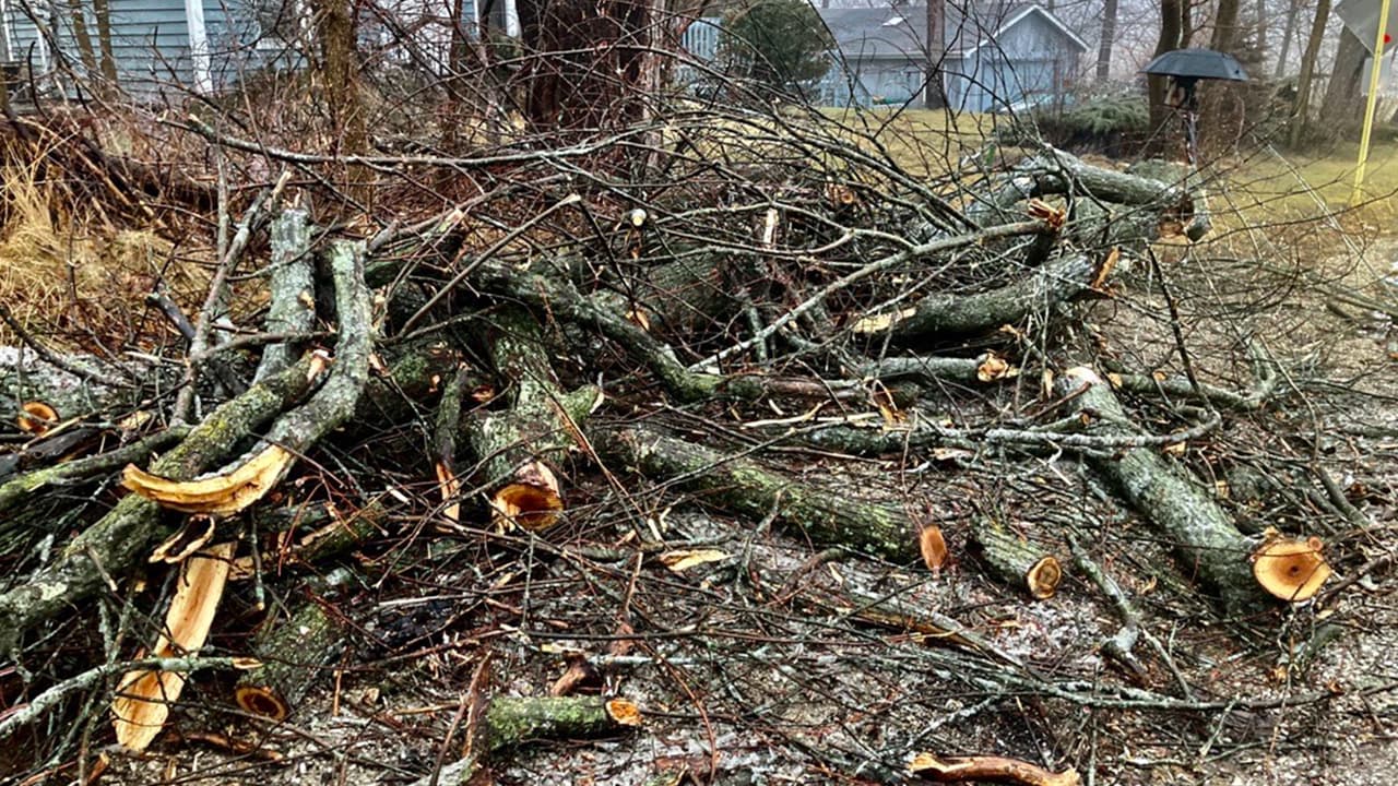 Cientos de árboles caídos se registraron en varias zonas, una de ellas Libertyville, muy cerca de los límites entre Illinois y Wisconsin.