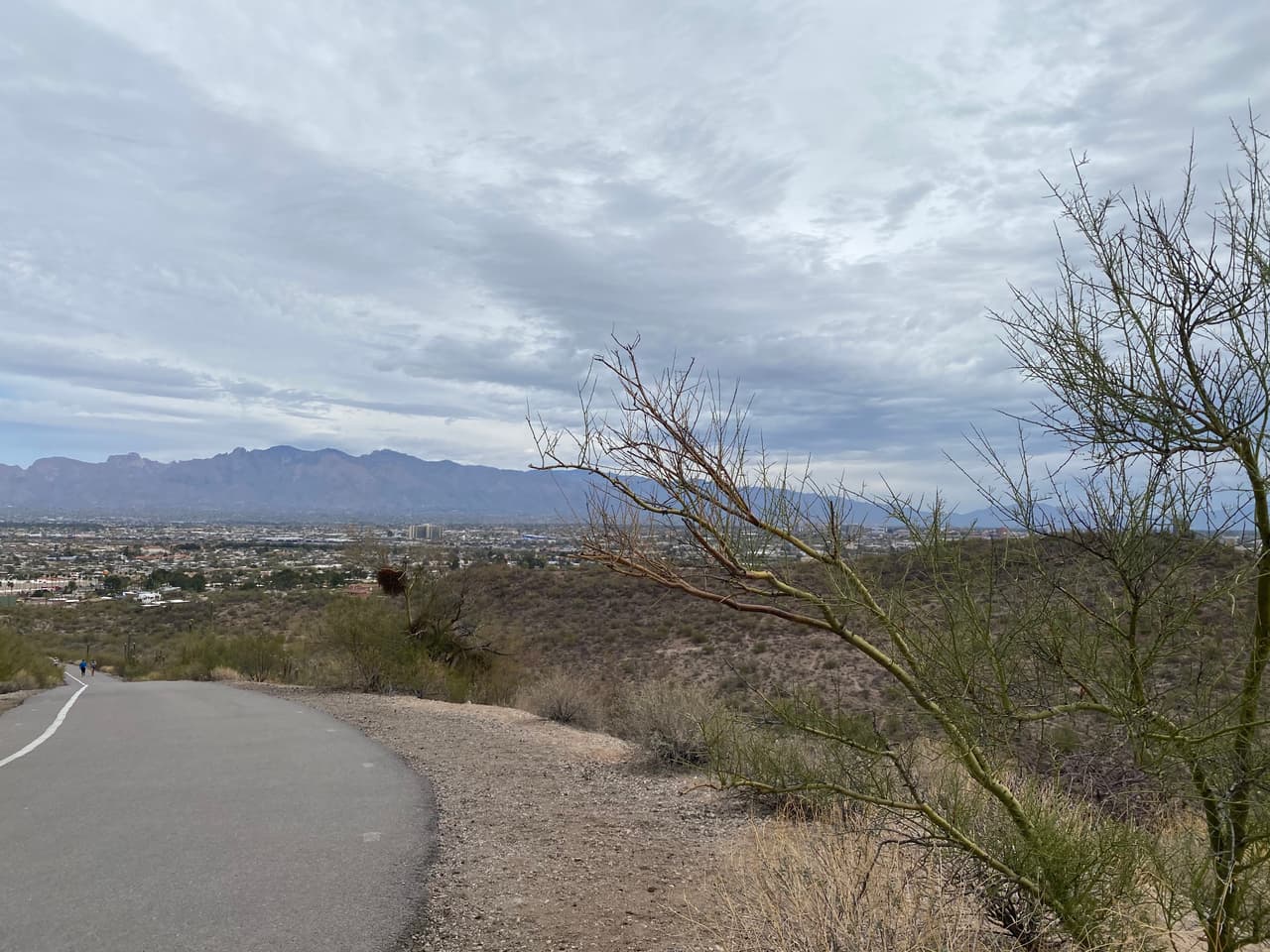 Administrado conjuntamente por la Universidad de Arizona y el condado de Pima, el camino pavimentado e inclinado gana 800 pies en solo 1.5 millas, lo que lo convierte en un ejercicio cardiovascular intenso.