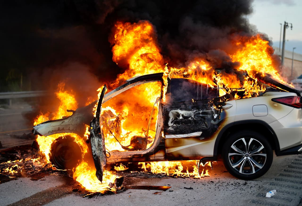 Permanezca al menos a 100 pies de distancia y lejos del tráfico.