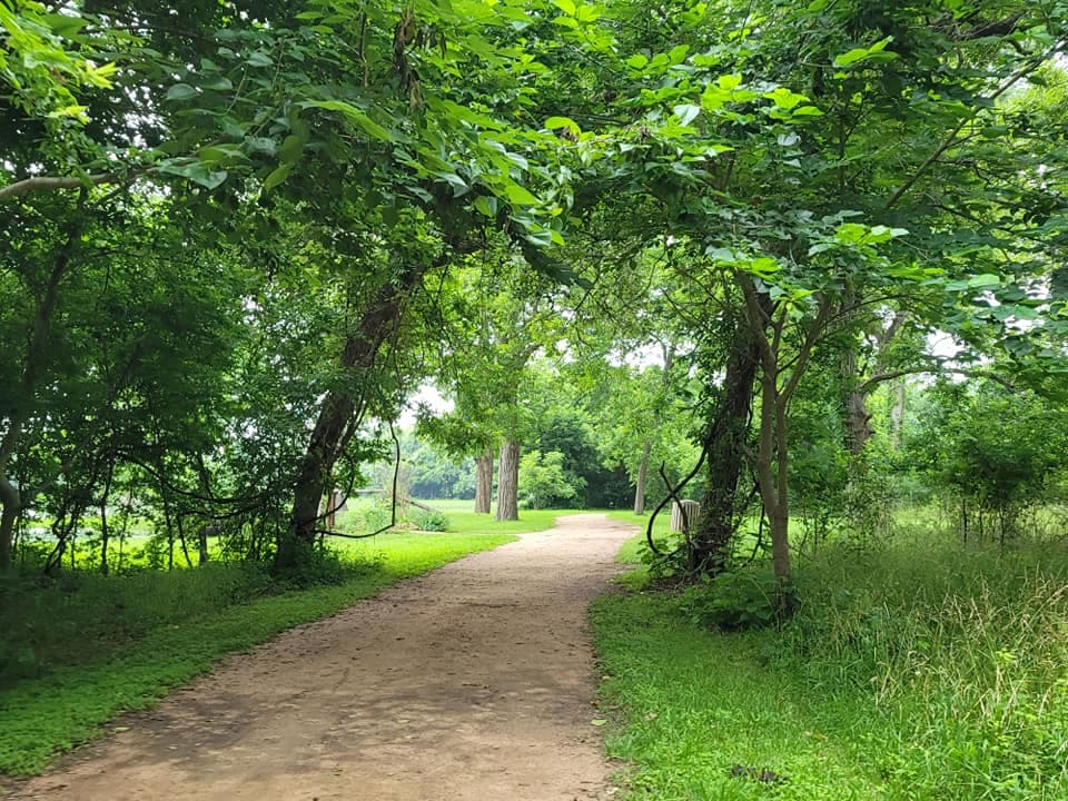 Las personas pueden entrar libre de costo, pero para acampar y hacer ciertas actividades deberán
<a href="https://www.wilco.org/Portals/0/Departments/Parks/Park%20Fees%20-%2010.1.20.pdf" target="_blank">verificar con el condado Williamson. </a>