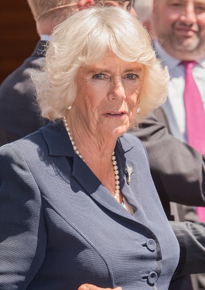 Camila viajaba sola en el helicóptero. Un controlador de tráfico aéreo en Norfolk, que estaba monitoreando el vuelo de la duquesa, dijo a los investigadores que 
<b>el riesgo de colisión habría sido "alto"</b>, de acuerdo a Daily Mail y los reportes de la junta.