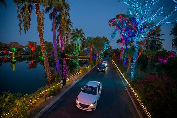 Los residentes podrán comprar sus boletos para “Zoolights” 
<a href="https://www.phoenixzoo.org/cruise-zoolights/" target="_blank">a través de su sitio web. </a>
<br>