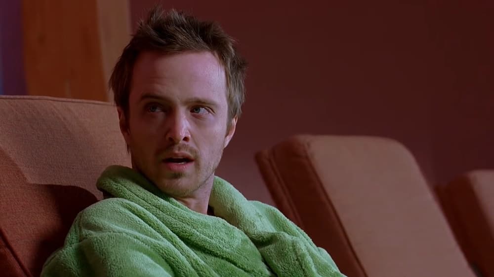 <b>Aaron Paul</b>
<br>La estrella que le dio vida a Jesse Pinkman estuvo en grandes películas como 'Need for Speed' y 'Exodus: Gods and Kings', pero también prestó su voz desde el 2014 hasta el 2020 a Todd Chavez, personaje principal de la serie animada 'BoJack Horseman' de Netflix.
<br>