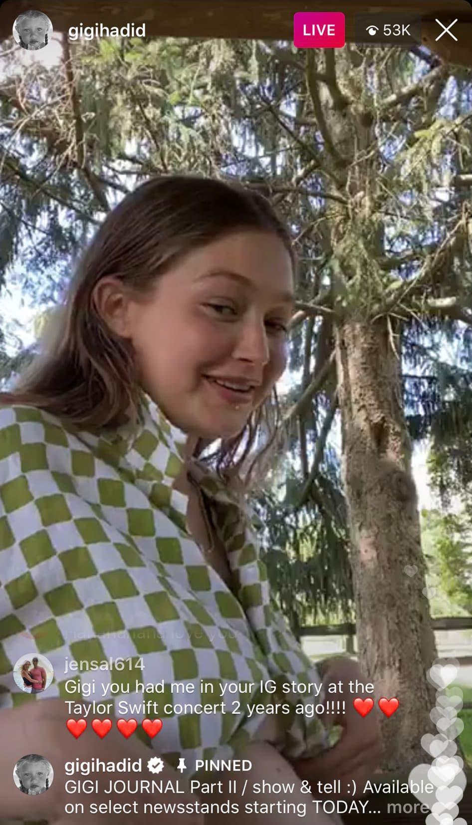 Después de más de tres meses de mantener su estado en bajo perfil, esta semana la modelo decidió explicarle a sus seguidores por qué se tardó tanto tiempo en abordar el tema de su embarazo con ellos.