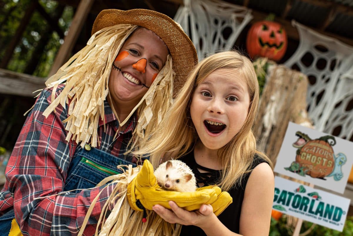<b><a href="https://www.gatorland.com/gators-ghosts-and-goblins-halloween-2023/" target="_blank">Gatorland’s Gators, ghosts and Goblins:</a></b> Evento de Halloween para toda la familia con múltiples zonas temáticas, personajes interactivos, encuentros con animales y un desfile infantil de disfraces de Halloween para todos los niños y la familia. Fechas: en días seleccionados desde el 14 de octubre al 29 de octubre.