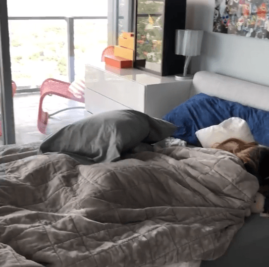 Enseguida el conductor de El Gordo y La Flaca entró a la habitación de su primogénita para despertarla. "¡Mia, es hora de levantarse! Mia, te voy a abrir las cortinas [...]", comentó Raúl en el clip. "Despertando a Mia hoy domingo. Difícil durante uno de sus últimos fines de semana de vacaciones antes de irse a la universidad", escribió en sus redes.