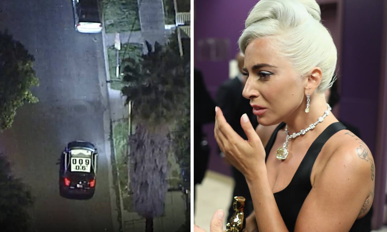 Revelan detalle sobre el robo de los perros de Lady Gaga en Hollywood