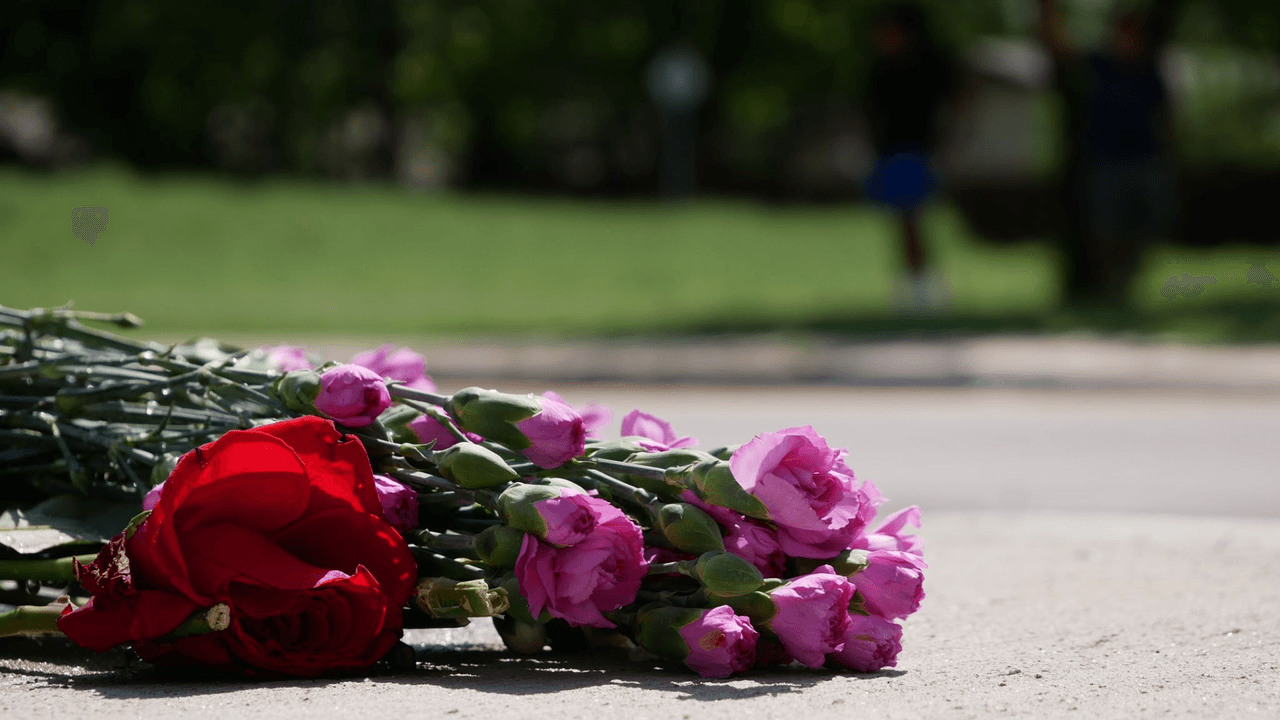 La noche del 29 de abril, Crystal y Andrés se dirigían a comprar tacos, contó Andrés Pinea, su abuelo.
<br>
<br>Otras tres personas iban en el vehículo, de acuerdo con información de la policía.