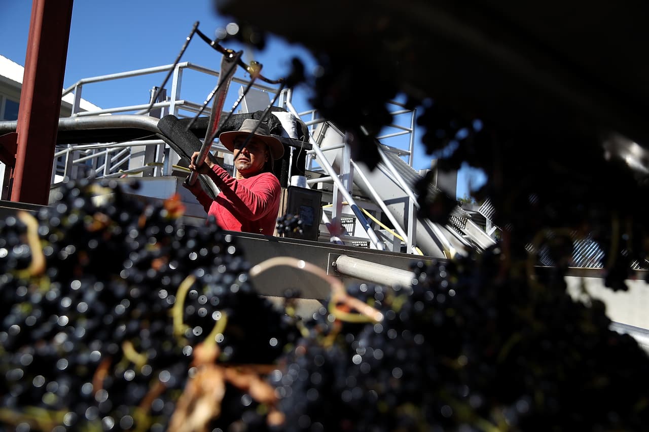 Un trabajador en un viñedo de Sonoma.