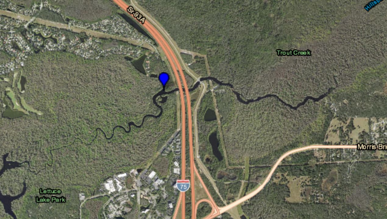 Alertan por presencia de algas con toxinas en el Río Hillsborough; piden no meterse al agua