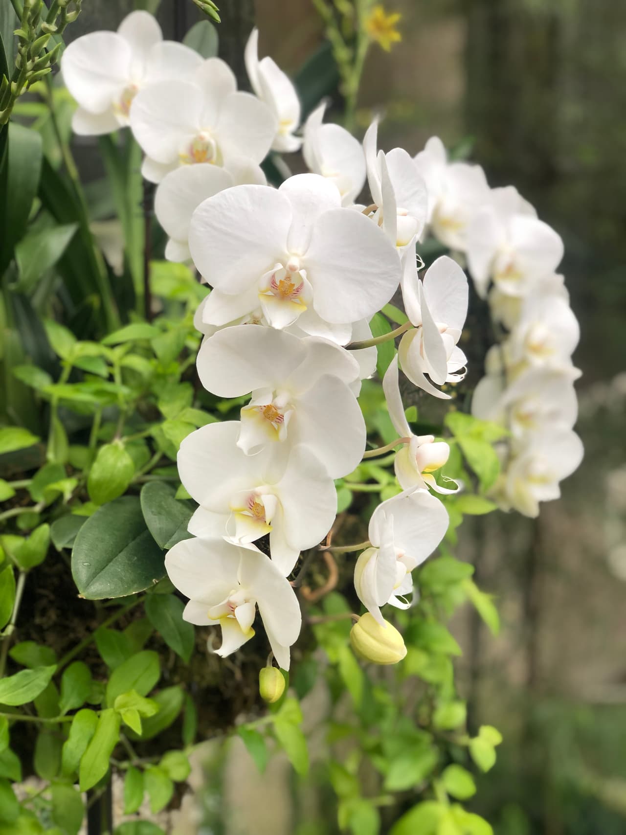 ¡Gracias por tanto, Mamá!
<br>