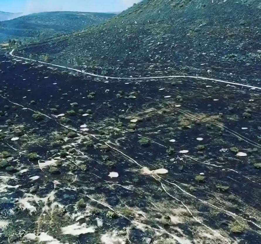 "Pero obviamente
<b><a href="https://www.univision.com/radio/raul-brindis/pepe-aguilar-habla-del-devastador-incendio-que-sufrio-su-rancho-en-zacatecas-video" target="_blank">no vamos a dejar que se quede así</a></b>", advirtió, "vamos a sembrar y plantar cosas de nuevo y darle mucho cariño porque es la tierra que tanto amaba mi abuelo".
<br>