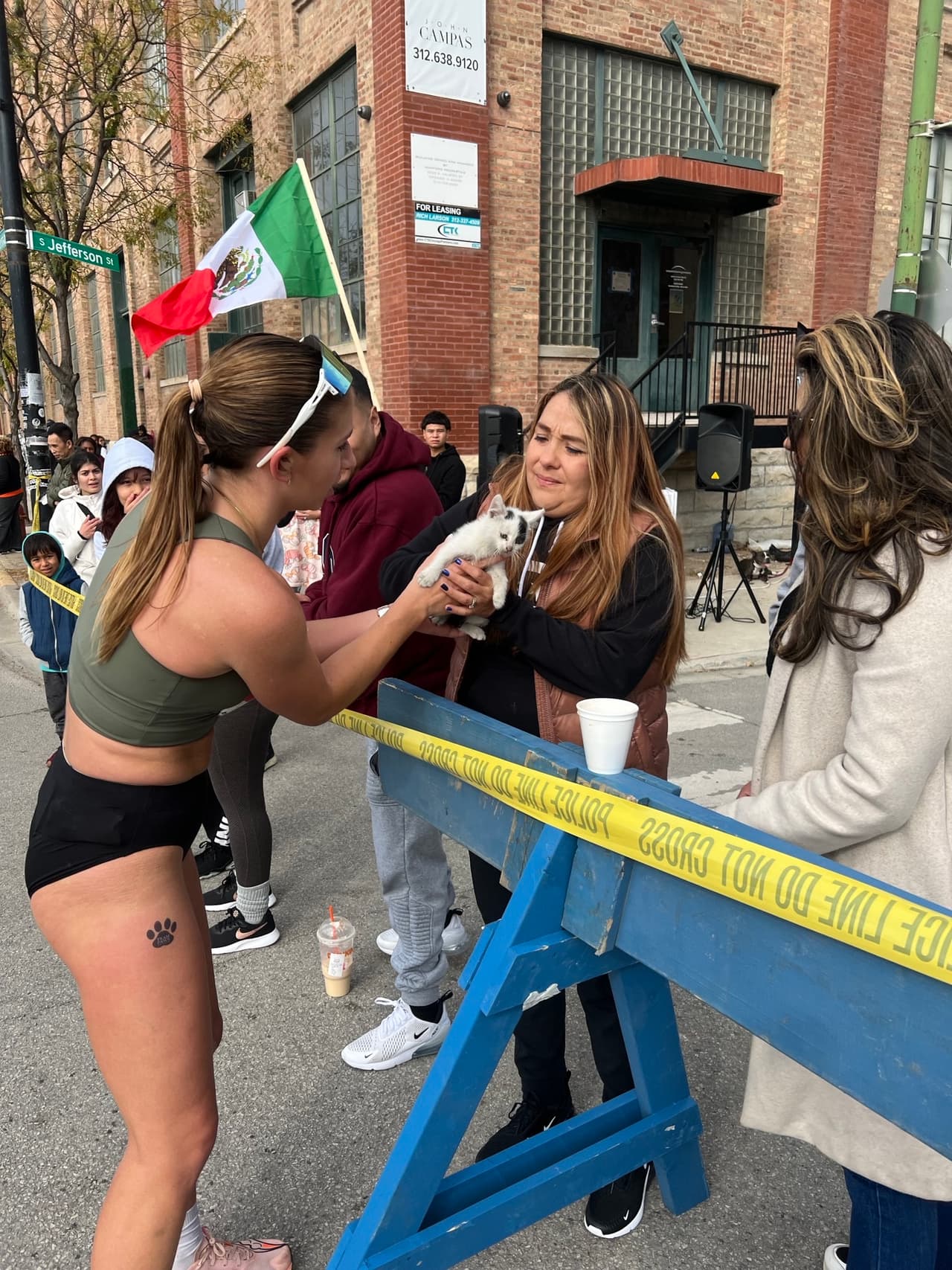 Más adelante, Sarah le encontró un nuevo hogar al gato.