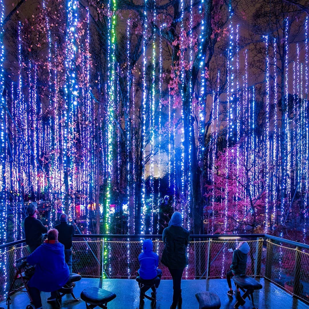 <b><a href="https://atlantabg.org/calendar/garden-lights-holiday-nights-presented-by-invesco-qqq/2022-01-04/" target="_blank">Garden Lights, Holiday Nights at Atlanta Botanical Garden (hasta el 15 de enero)</a></b>: Cuenta con decoraciones que brillan al ritmo de música sinfónica, con melodías navideñas, un Túnel de Luz desde la radiante Diosa del Hielo hasta la Galaxia Resplandeciente y que abraza a los visitantes con una luz encantadora. Fue nombrado uno de los 10 mejores espectáculos de luces navideñas en el país por USA Today y este evento monumental en el corazón de Midtown Atlanta es uno que no querrás perderte.