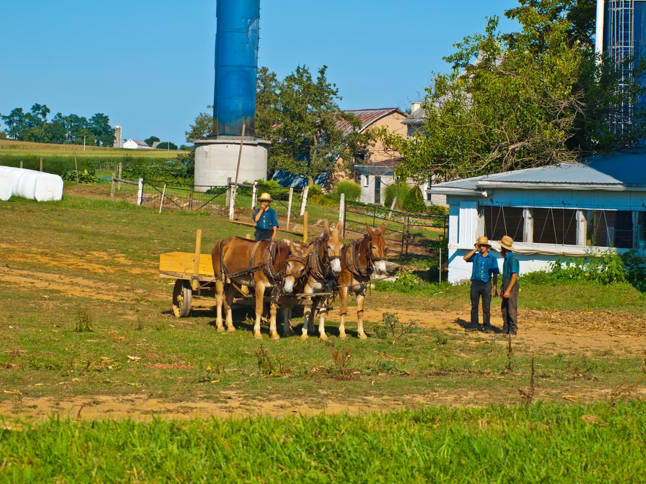 <b>Puesto 2: Lancaster, Pennsilvanya. 1.8 crímenes violentos y 11.2 delitos contra la propiedad. </b>Esta ciudad asigna el 42.9% de su presupuesto a la seguridad pública y policías, la mayor de la lista en esta variable. En promedio, las ciudades más seguras asignan alrededor del 31% del presupuesto a la seguridad pública, mucho más en comparación con el 23% que asignan las ciudades más peligrosas.