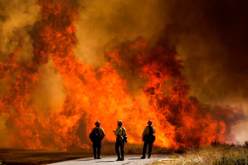 Un incendio forestal en el noroeste de Palm Springs se reavivó el sábado, lo que ocasionó órdenes de desalojo para miles de personas al tiempo que los bomberos combatían el fuego bajo un calor extremo, informó AP.