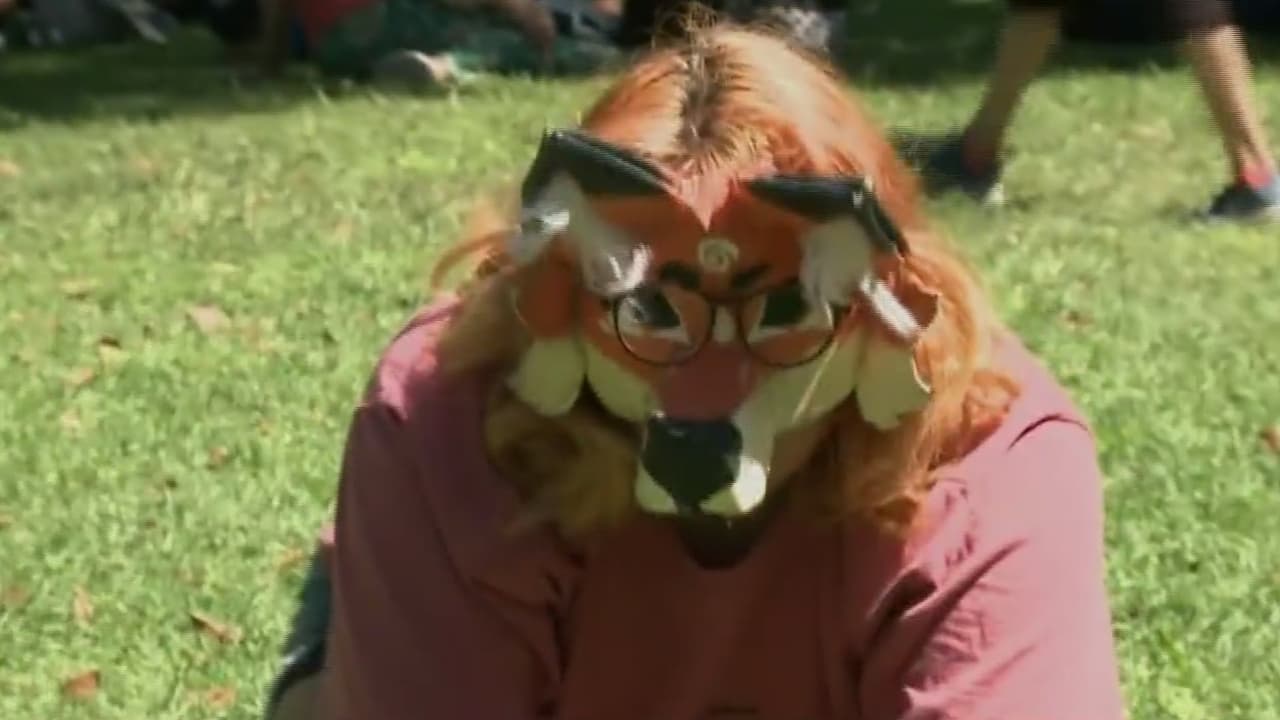 Preocupación por los Therians: conductas de niños y adolescentes genera alerta psicológica