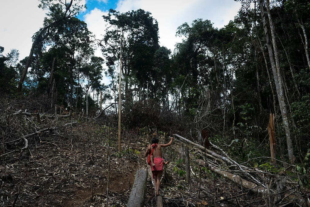 Buscan un helicóptero militar venezolano que desapareció hace 4 días en una densa zona selvática