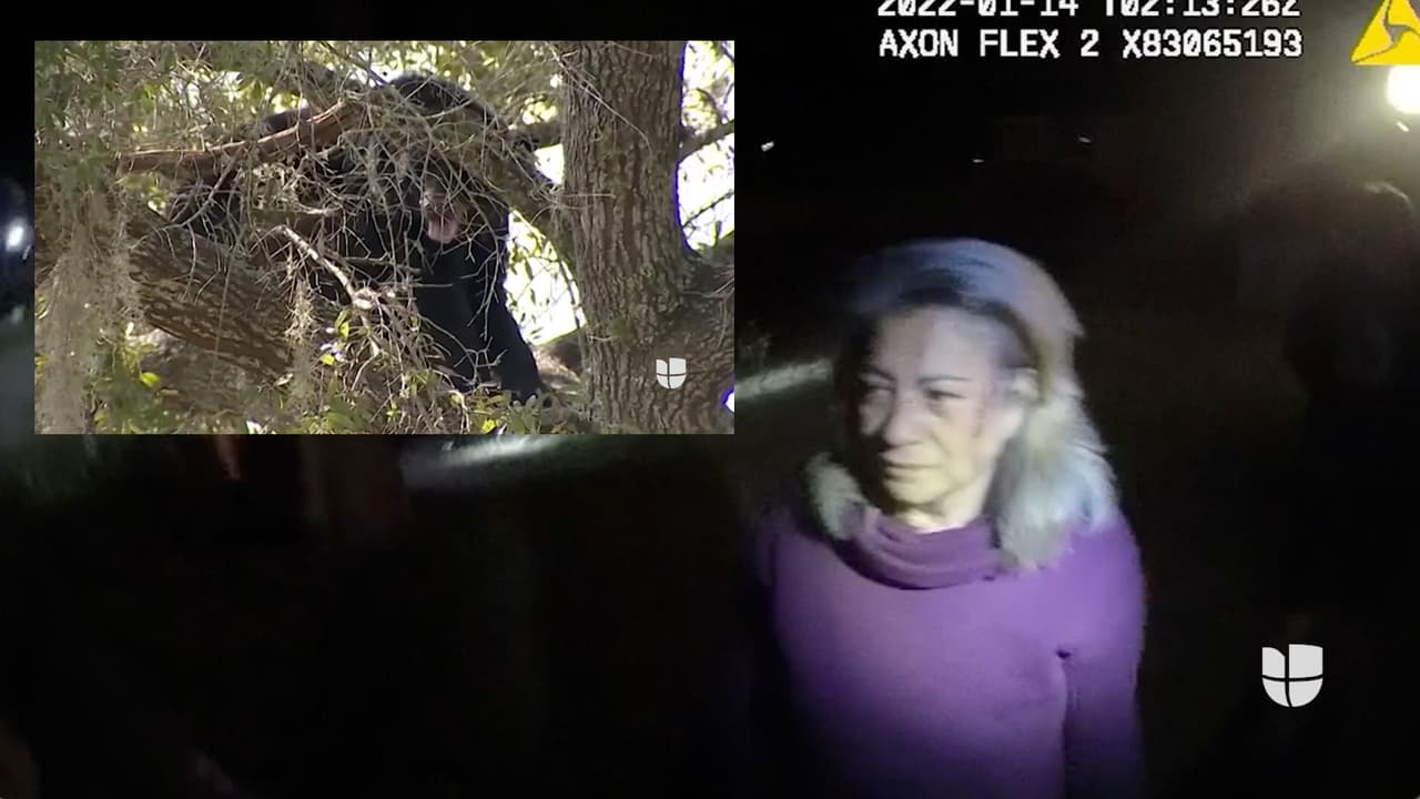 Mujer es atacada por una enorme osa mientras pasea a sus perros en una calle de Florida