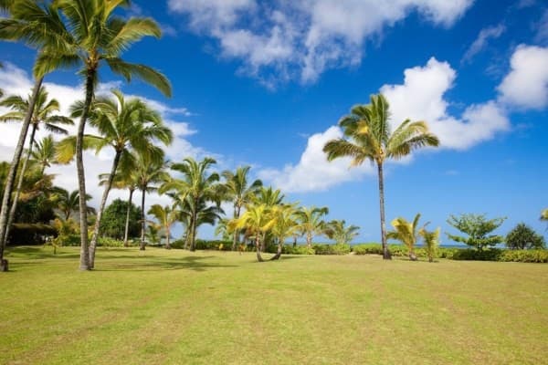 ¡La actriz se va, pero cualquiera quisiera tener esos cielos sobre su cabeza!