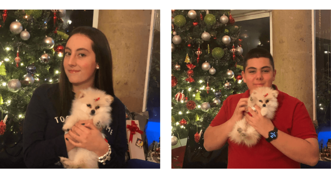 Hijos de Victoria Rufffo