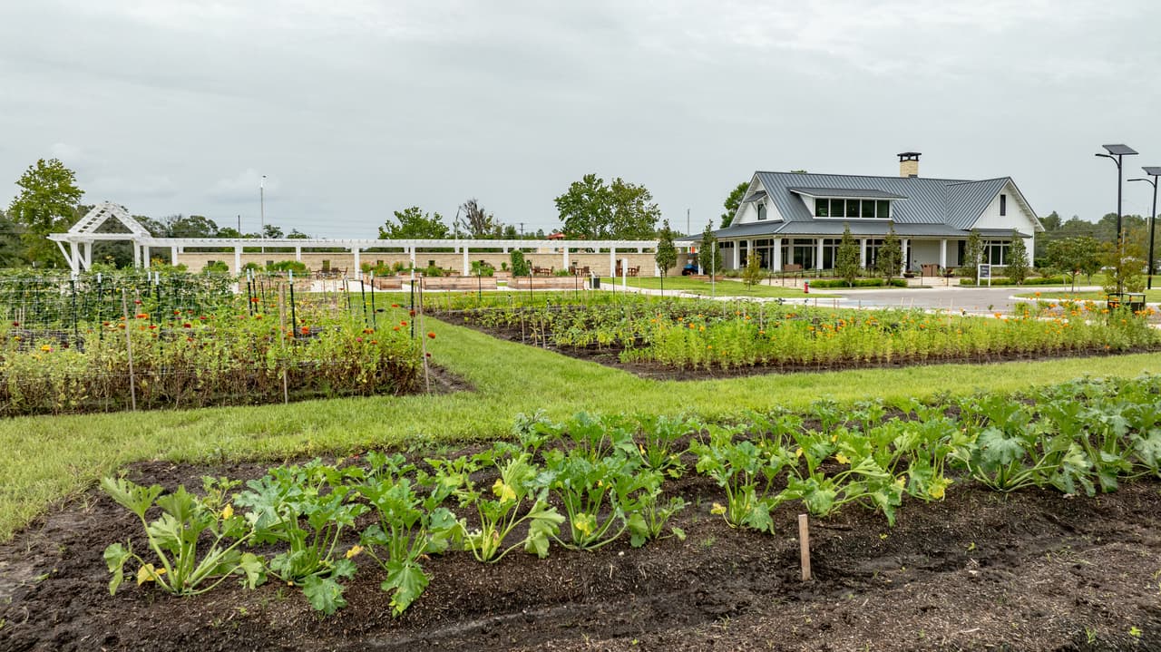 Sancionan a empresas por muerte de seis trabajadores en granja lechera de Colorado
