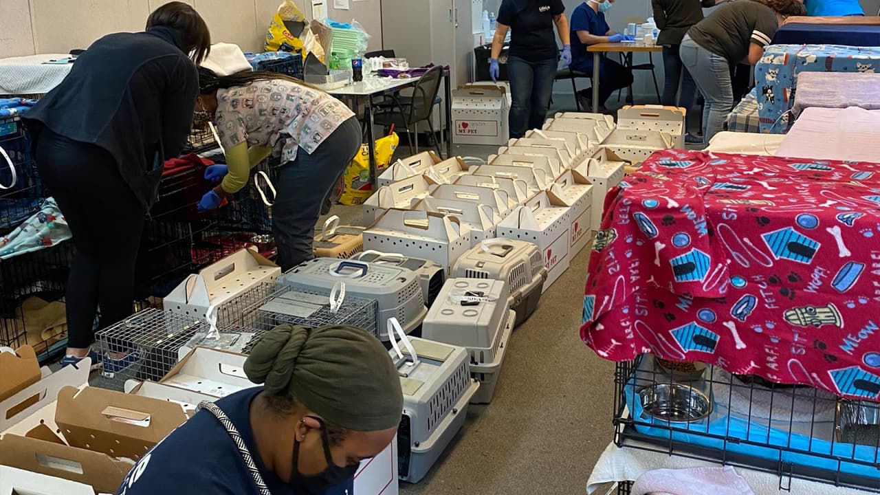 La Policía de Sandy Springs obtuvo una orden de inspección para el condominio en 9400 Roberts Drive.