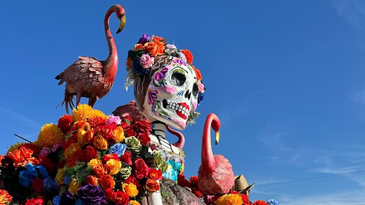 Las Catrinas, además de observar a los visitantes y disfrutar de los artistas, 
<b>se convirtieron en escenografía para que cientos de visitantes se tomaran una curiosa fotografía</b> para el recuerdo.