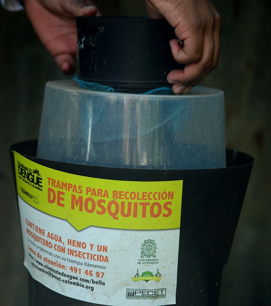 En países como Colombia se han valido de cubetas para hacer una suerte de trampas para los mosquitos. Con 84 de estos recipientes de un litro pueden recogerse cerca de 2,700 huevos al mes.