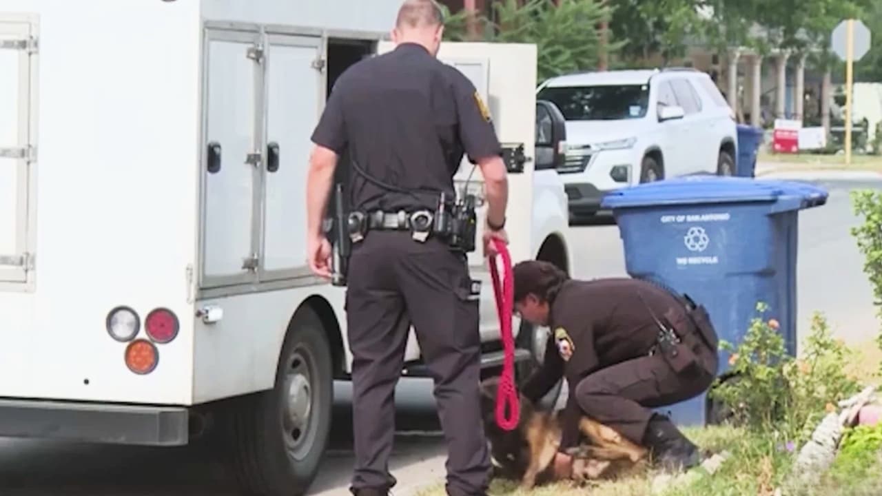 Alertan por incremento de ataques de perros durante entrega de paquetes