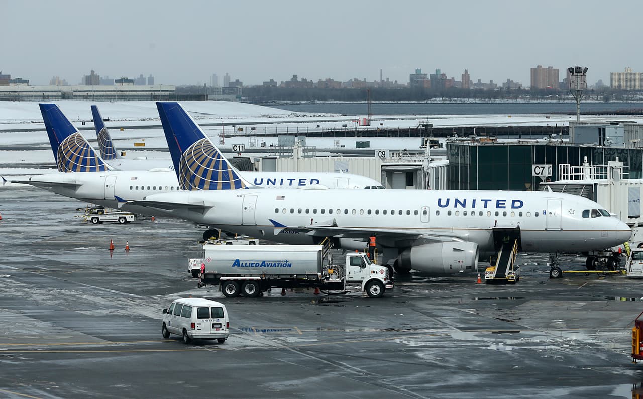 United Airlines suspende el transporte de mascotas tras la muerte de un cachorro y los envíos erróneos de varios perros