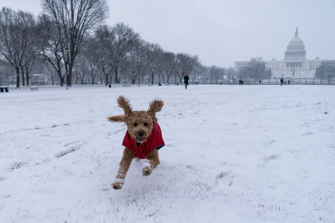 En Wisconsin, la profundidad de la nieve en algunos condados cercanos al lago Michigan había alcanzado más de 15 pulgadas (38 centímetros), y continuaba nevando. La fotografía muestra la nevada en el centro de Washington DC el domingo.
<br>
