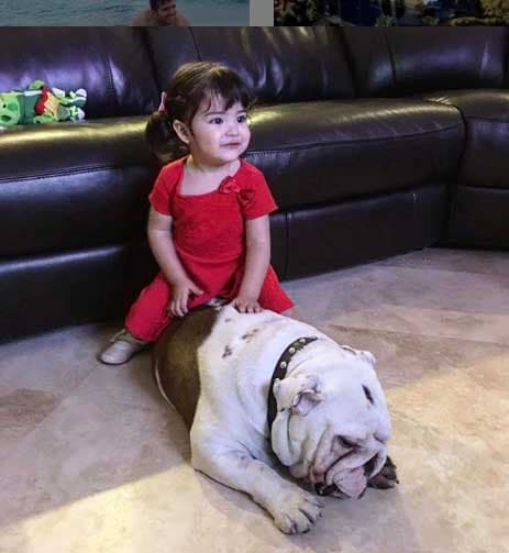 Además Giulietta adora a la mascota de El Dasa. Su inseparable perro Benito no puede faltar en las visitas familiares.