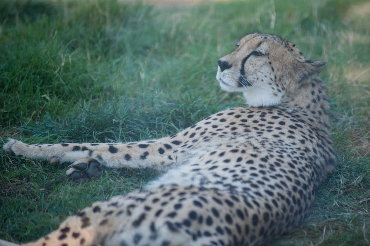 Un bello dia fue perfecto para las familias desde Bakersfield a Modesto.