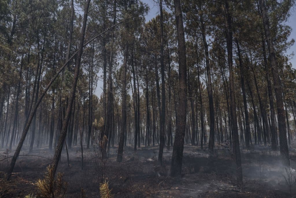 En Portugal, el país vecino, solo se consideraba activo un gran incendio, cerca del municipio de Chaves, en el extremo norte del país. Está "prácticamente controlado" en el 90% de su perímetro, según Protección Civil.