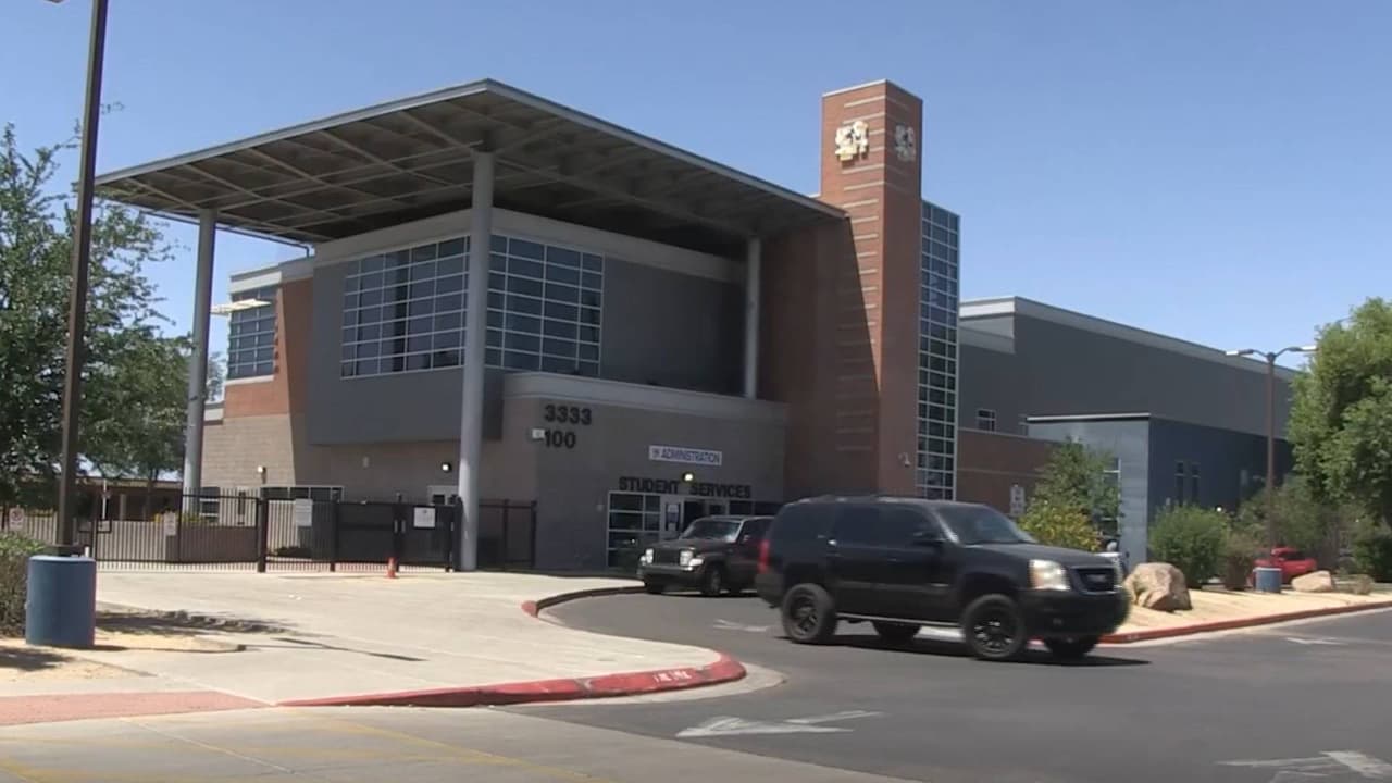 Una colonia de abejas despertó el activismo de un grupo de estudiantes con conciencia ambiental