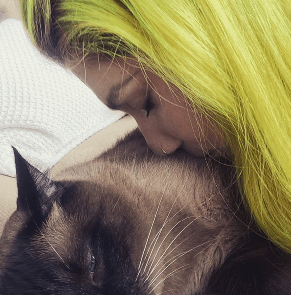 “Mi todo”- Ke$ha.