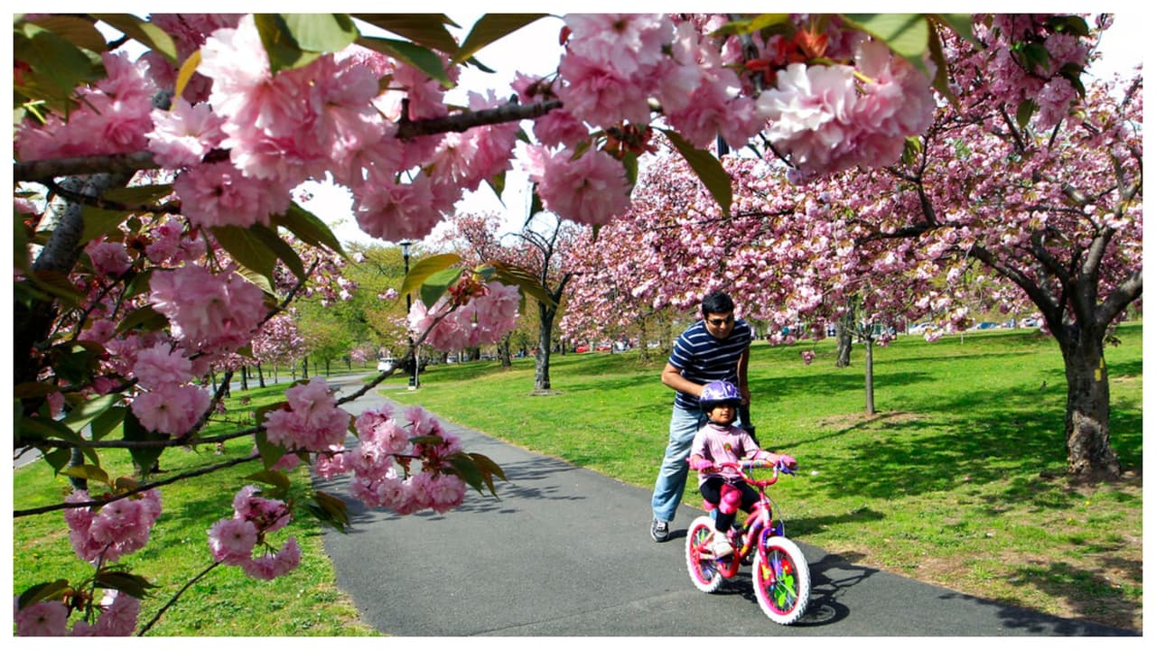 <b>El parque tiene casi 4 millas de largo </b>y un promedio de 1/4 de milla de ancho. Con 360 acres, es el parque desarrollado más grande del condado Essex.