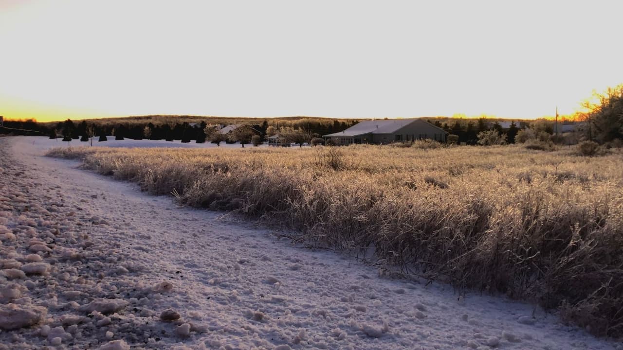 Una visita a la montaña: La nieve nos transforma el paisaje y lo convierte en una blanca Navidad. ¡Disfrútalo!