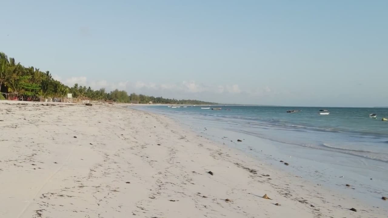 Polémica por plan para crear un complejo de lujo llamado 'Isla Trump' en un cayo de Cuba