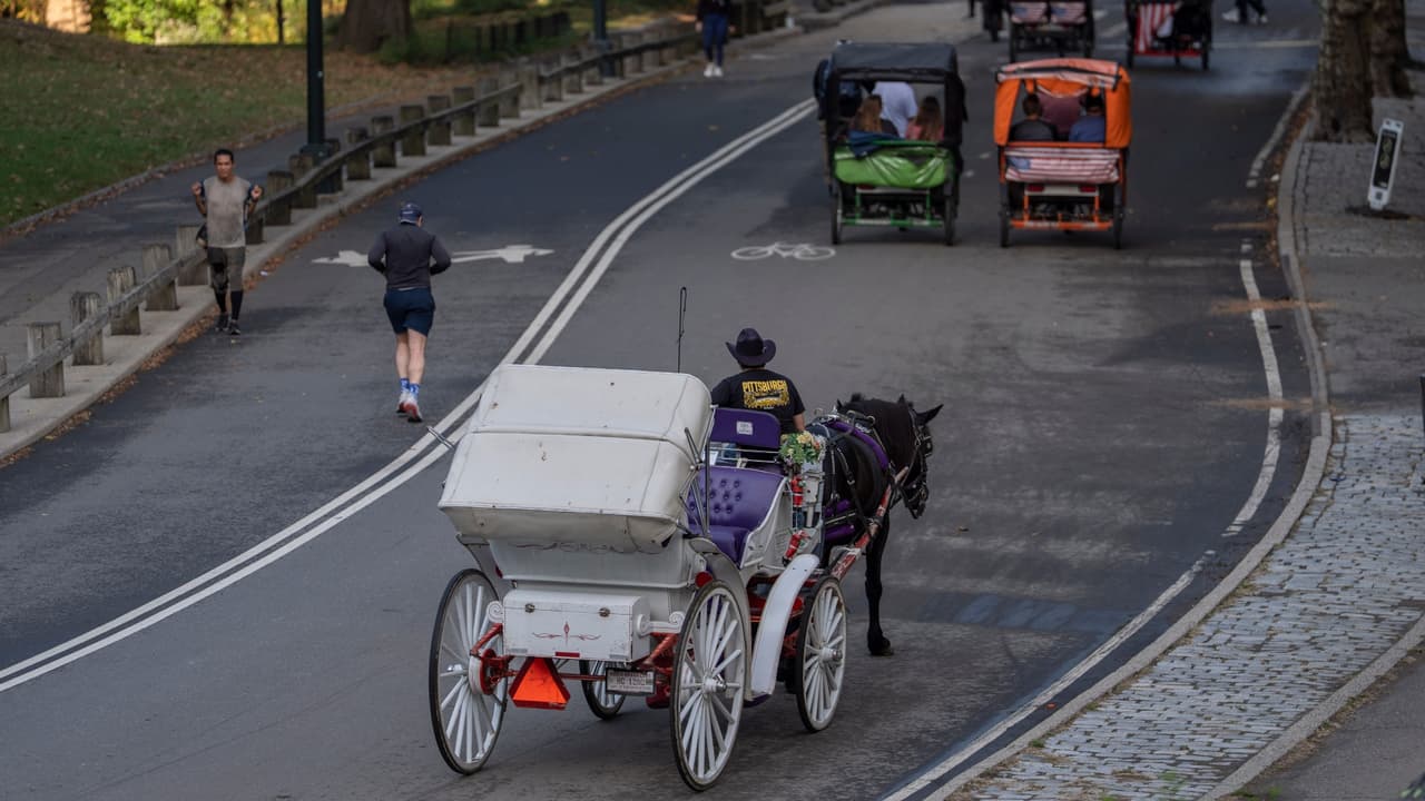 Nueva York prohíbe los carruajes de caballos tras 150 años de tradición